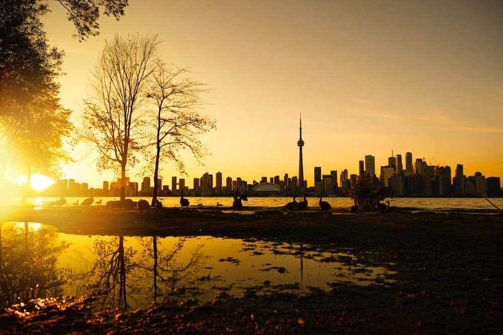 A Toronto skyline featuring a sunset with geese in the foreground